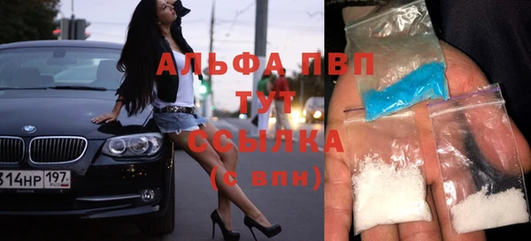 трава Карпинск