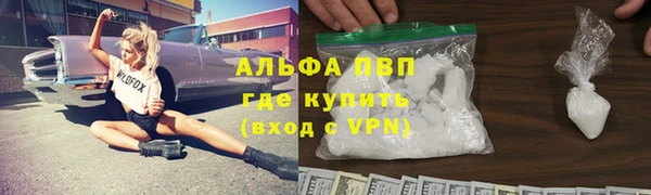 трава Карпинск