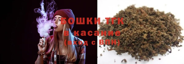 трава Карпинск