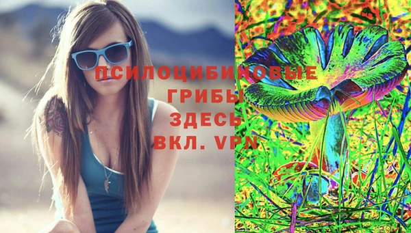 соль ск Карталы