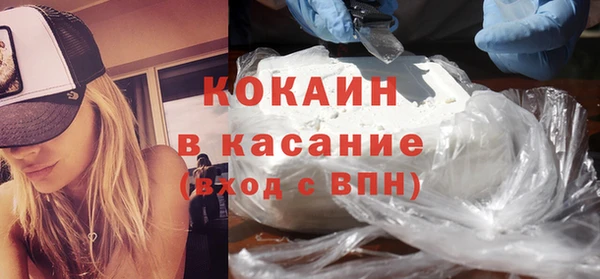 трава Карпинск