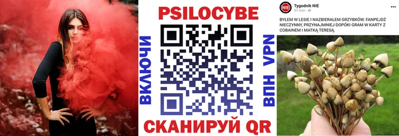 Галлюциногенные грибы мухоморы  Купить где  Георгиевск 